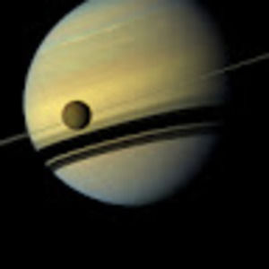 Meet your Posher, Jane